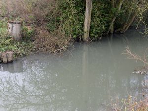 Supporting image for story: Ludlow MP pushes bill to crack down on companies polluting rivers with sewage