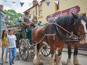 Supporting image for story: Museum asks if people will visit after lockdown is lifted