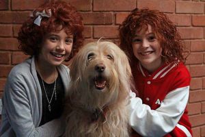 Supporting image for story: Annie production at Bridgnorth to star dog Misty