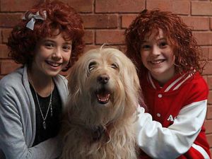 Supporting image for story: Annie production at Bridgnorth to star dog Misty