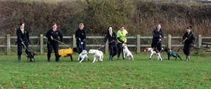 Staff with dogs at Birmingham Dogs Home