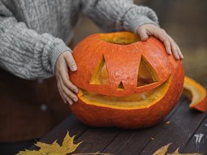 Supporting image for story: Country house opens its doors for half term