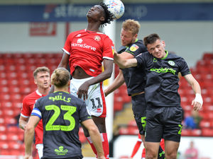 Supporting image for story: Forest Green v Walsall: Inside track on the Saddlers' League Two opponents
