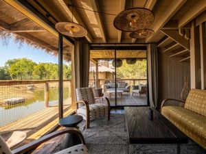 Supporting image for story: Safari park's luxury lodges opening delayed until Easter 2021