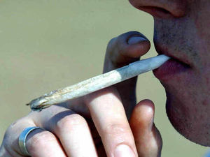 Supporting image for story: Drug user caught growing cannabis avoids jail