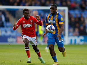 Supporting image for story: Shrewsbury 0 Charlton 1 - Report 