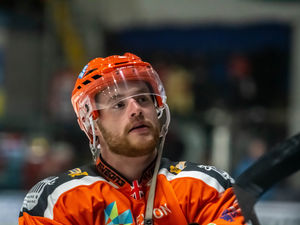 Supporting image for story: Telford Tigers make Jake Price signing