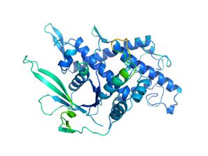 Supporting image for story