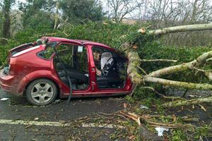 Supporting image for story: Storm Doris: Pensioner killed when tree fell onto car on Shropshire's A49 is named