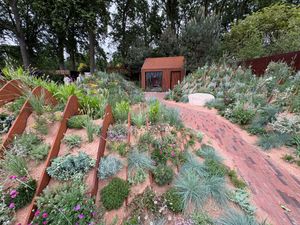 A garden at the RHS Chelsea Flower Show