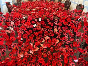 Supporting image for story: Ludlow’s Community Poppy Waterfall unveiled in Remembrance