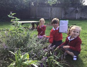 Reception children Jesse Wilkinson, Arthur Whitehouse and Enya Merson, with their RHS School Gardening Award 