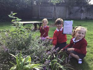 Reception children Jesse Wilkinson, Arthur Whitehouse and Enya Merson, with their RHS School Gardening Award 