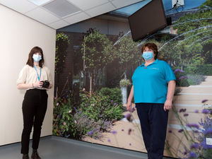 Supporting image for story: Garden murals add splash of colour to rooms at Shropshire hospital