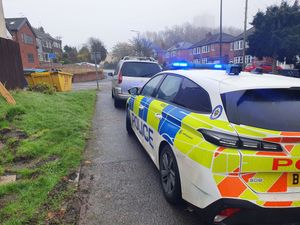 Supporting image for story: Police busy with suspected drink drivers trying to evade them and stinging stolen cars