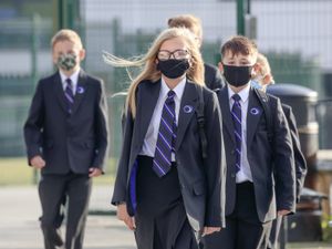 Supporting image for story: School Covid outbreaks may be down to several introductions of virus – expert