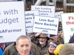 Supporting image for story: Agriculture funding change sent shock waves through Scottish farming, says NFU