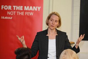 Emma Reynolds with baby Theo – there are a growing number of mothers with children in parliament, she says