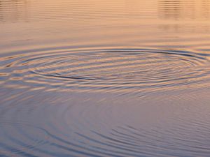 Supporting image for story: This is the sad tale of the robot that drowned itself