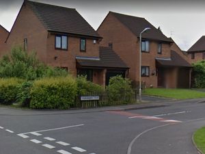 Supporting image for story: Man who barricaded himself in house with weapons is Tasered by police