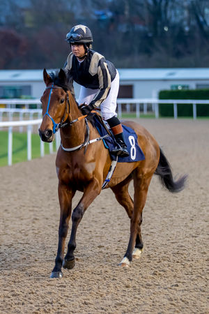 Tia Phillips rode at Wolverhampton Racecourse on Monday. Image: Jonathan Hipkiss Photography