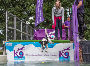 DogFest. All pictures from: https://dog-fest.co.uk/cheshire