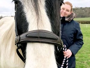 Supporting image for story: 'It breaks my heart that she had such a cruel end' Shrewsbury woman left injured when her horse was killed by a car calls for road safety measures