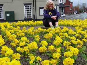 Supporting image for story: Blanket of flowers for Stephen Sutton comes into bloom on Burntwood roundabout