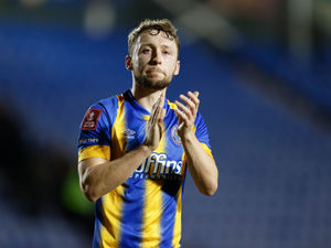 Supporting image for story: Steve Cotterill: Goals from Shrewsbury defenders have been a 'bonus' 