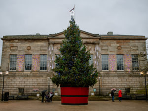 Supporting image for story: Lighting up Christmas in a different way this year
