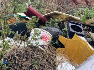 Supporting image for story: Clean-up ordered over rubbish dumping ground near shops