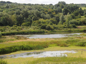 Supporting image for story: Sandwell Valley parking charges being brought in despite objections