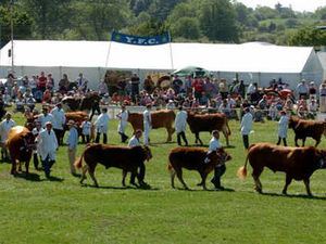 Supporting image for story: Country shows are securing Shropshire's rural future