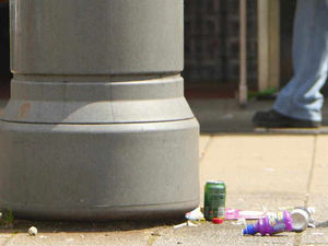 Supporting image for story: We all pay for littering