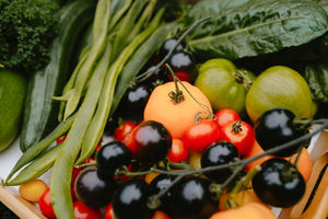 Theresa Welch launched Homegrown Gardening Group in Bridgnorth in March 2019