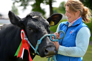 Supporting image for story