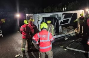 A vet has since advised that the horse should make a full recovery