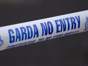 Supporting image for story: Woman and young boy die in Co Offaly house fire