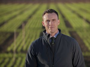 Supporting image for story: Wynnstay appointment to boost seed division