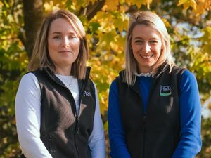 Supporting image for story: Halls announces promotions to its rural professional team