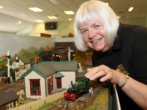 Supporting image for story: Bullet trains and diggers among stars of the show at model railway exhibition