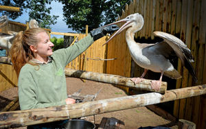 Wild Zoo at Halfpenny Green is offering a deal