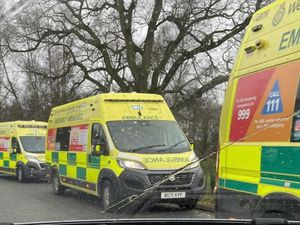 Supporting image for story: Politicians urge fast release of money to help Shropshire's under-pressure social care system