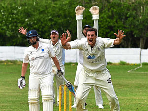 Supporting image for story: Late stand is vital in Broseley victory