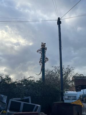 Photos by LDR Rachel Alexander
Permission for use for LDR partners 