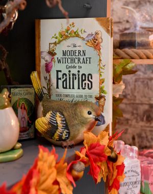 Items on offer at Wenlock Witch. Photo: Tim Thursfield