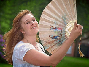 Supporting image for story: Shropshire shops say heatwave fan-tastic for sales
