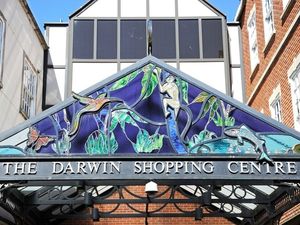 Supporting image for story: Finances of Shrewsbury's shopping centres now held in UK, council says