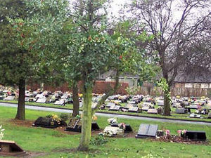 Supporting image for story: More topple tests on cemetery headstones