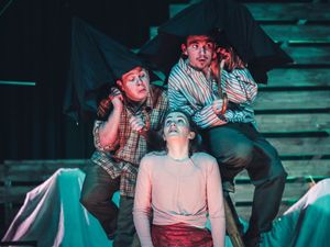 Supporting image for story: Children's plays come to Theatr Clwyd 